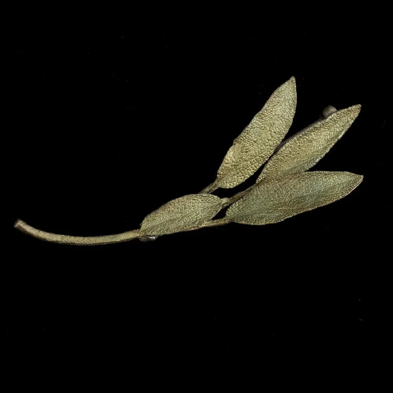 Tide shape brooch-Sage Brooch